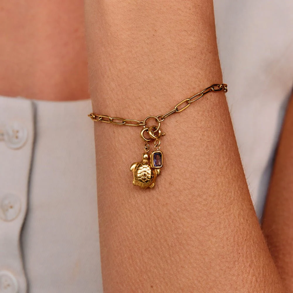 Golden Turtle Charm - Image 2