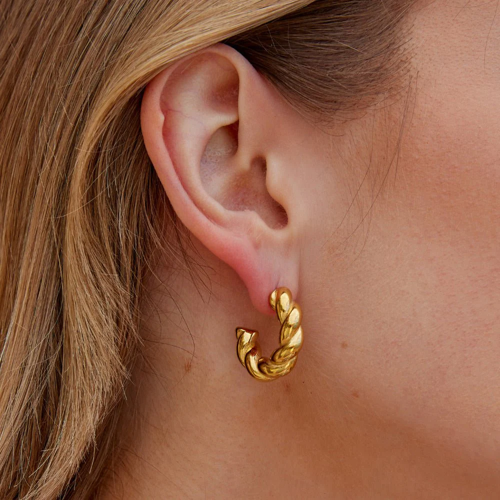 Twisted Felicity Hoop Earrings - Image 2